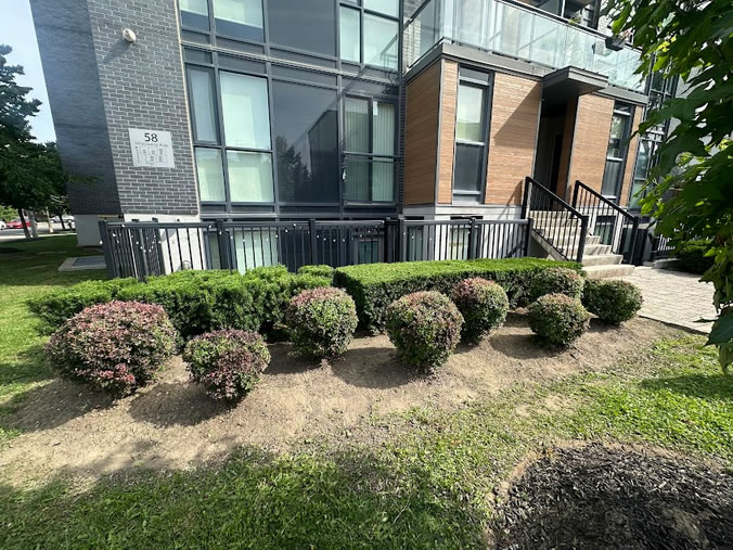 Landscaping Services in the Greater Toronto Area 6